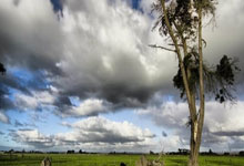 豪门国际：新西兰主帅&球员采访：重要的不是去参加世界杯，而是在那的表现.